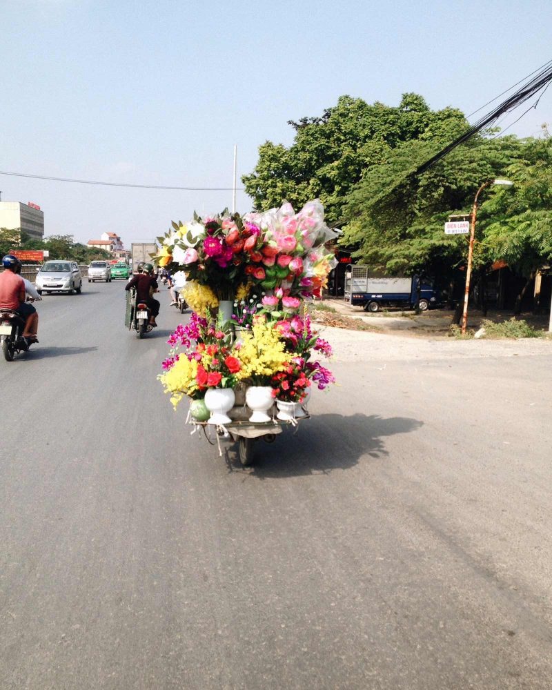 acanthus_vietnam_motorcycle_1